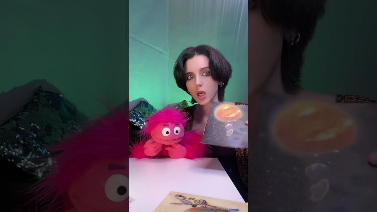 ДОМ ВУРСИКА #чревовещатель #чревовещание #puppet #ventriloquist #youtubeshorts #куклы #кукольник