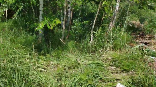 Жизнь на даче без прикрас. /СТОЛБËНКИ ДЛЯ ОГОРОДА/