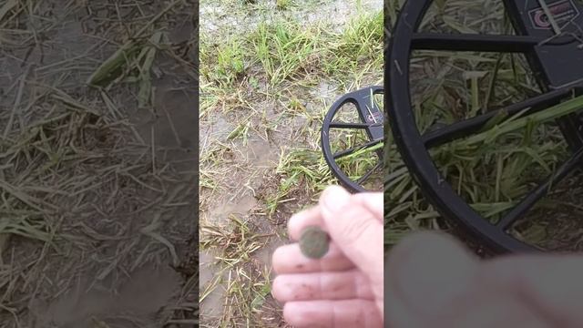 копаю в дождь