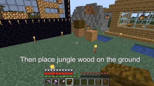 Minecraft Survival: How to Make Stripped Jungle Wood