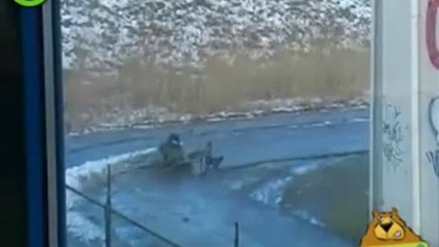 акция На работу на велосипеде