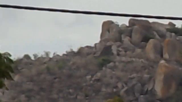 NIKON COOLPIX L340 TEST ZOOM
