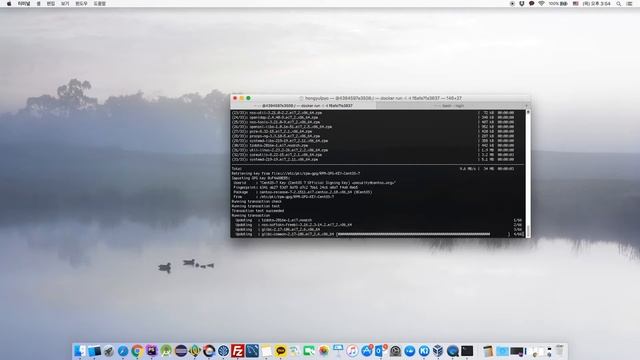 (Mac) How to install CentOS 7 on Docker