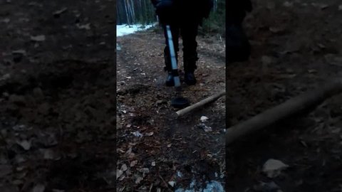 Ищем монеты в лесу с мд 4030