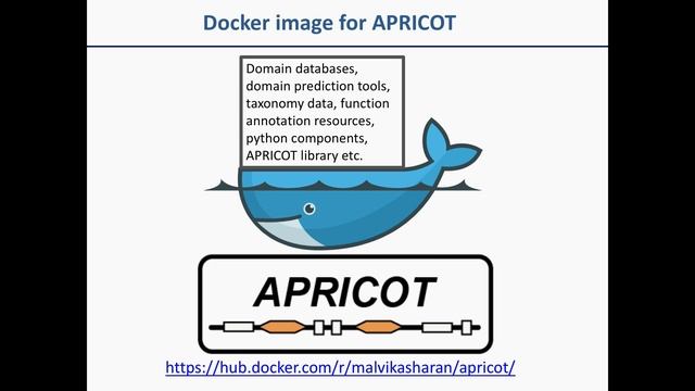 APRICOT software: Part-7 - Docker image | Explanation and analysis