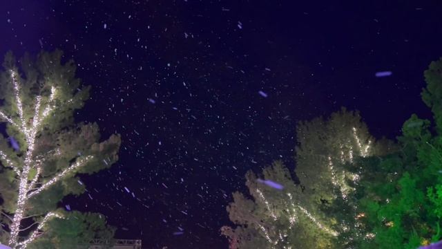 Снегопад ночной