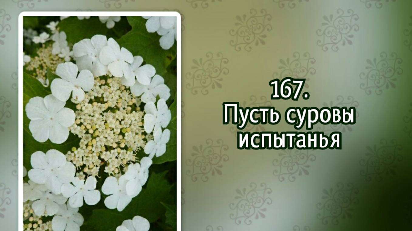 Гимны надежды 167 Пусть суровы испытанья (-)