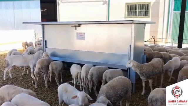 Кормушка бункерная для овец баранов. Оптимизация кормления овец и баранов от Шипмастер
