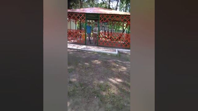 Салют 2024