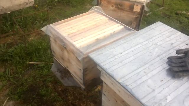 Дача плодной матки объединением.В семью делённую на пол лёта.