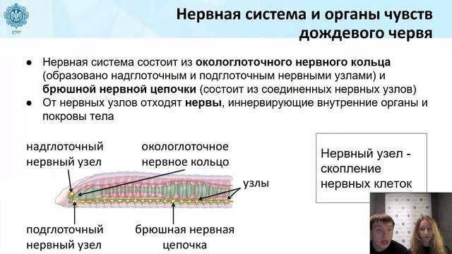 04.03.2022 15:00 7К Биология. Жизнь дождевого червячка. Тип Кольчатые черви, класс Малощетинковые