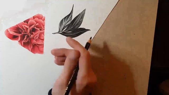 Peony Flower Tattoo design Drawing Time-lapse
