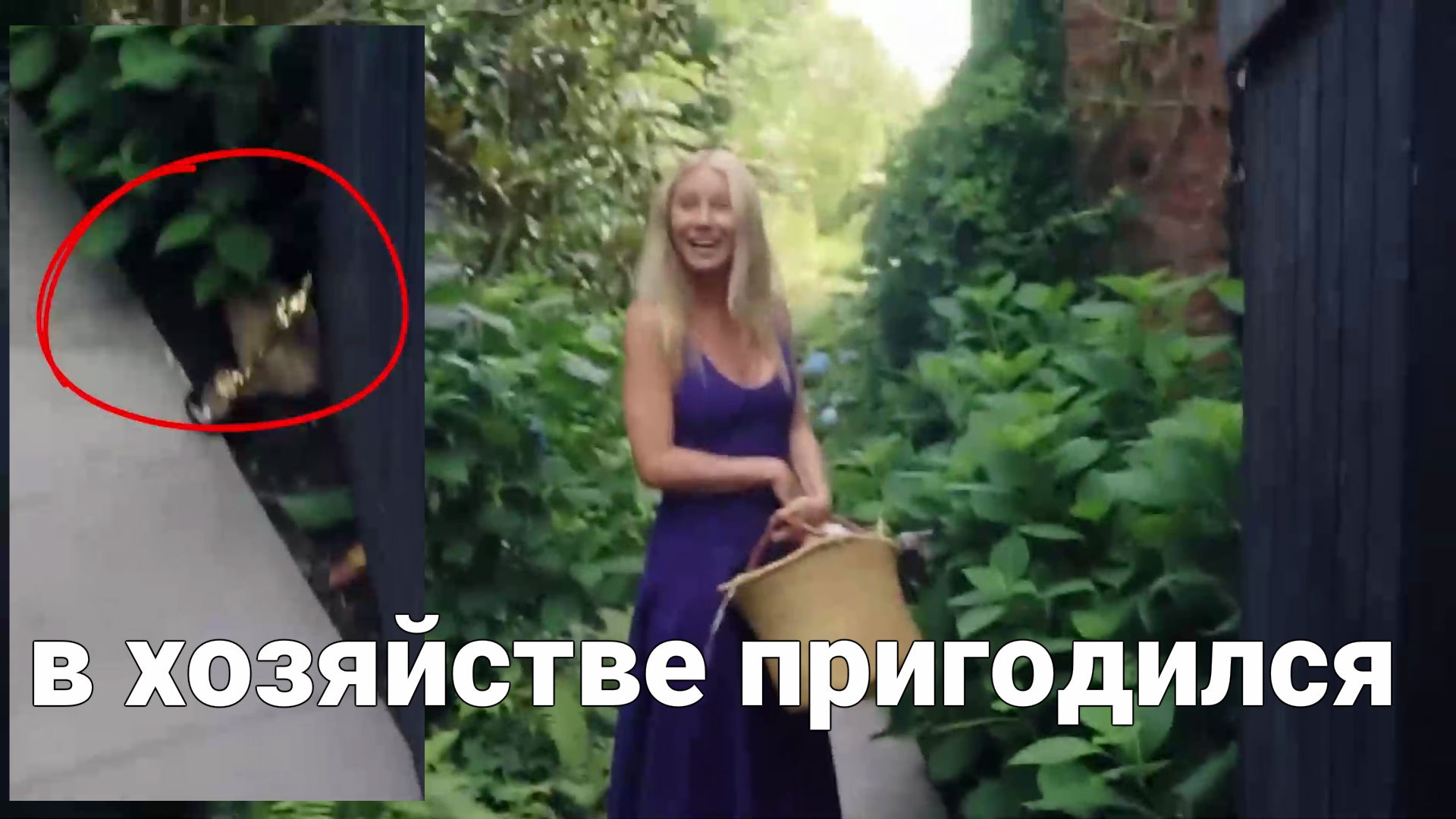Гвинет Пэлтроу