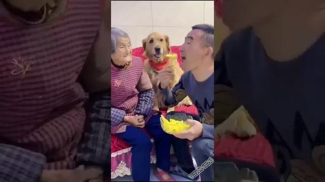 бабушки отдай  ребятам на фронт я там уже был и знаю каково это 2202 2003 4591 2586 сбер
