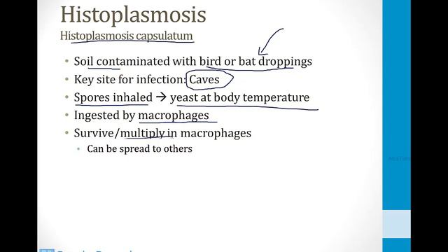 Infectious Diseases - 4. Fungi - 1.Fungal Pneumonias atf