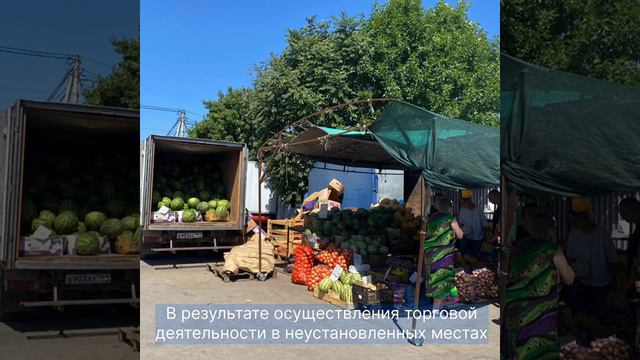 09-08 Административная инспекция Ростовской области