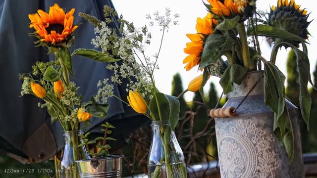 Canon 50d Sample Images | Beautiful Nature |