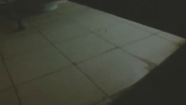 Пол урока под лестницей в школе!!!НАС СПАЛИЛИ!!!!!!!!!!!!!!!!