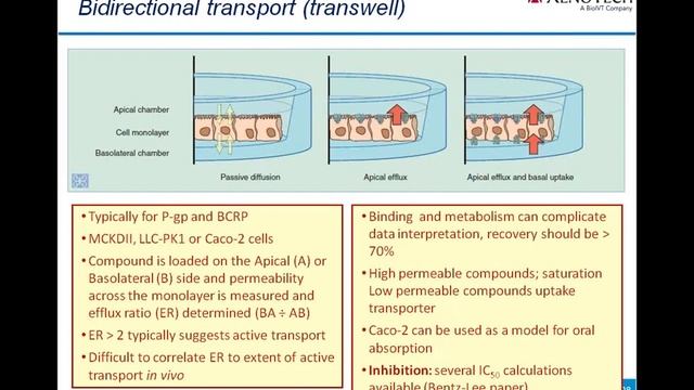 Navigating the Transporter Wave: A Review of the Seven Recent ITC Publications on Drug Transporters