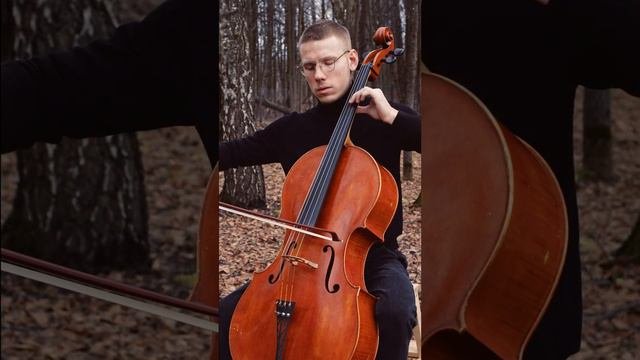 Sting - Shape Of My Heart (cello Cover | виолончель кавер)