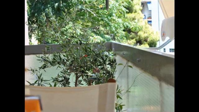 stop motion on nikon d3000