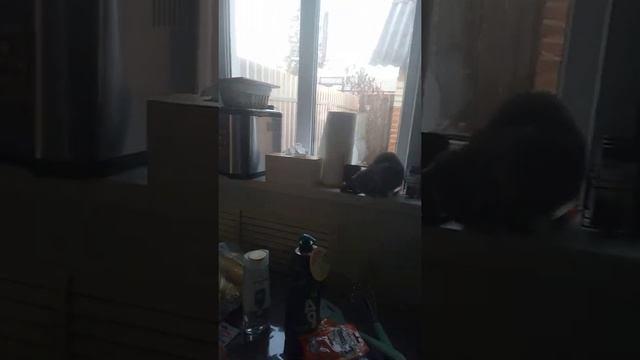 покупки из фикс прайс и скидкино