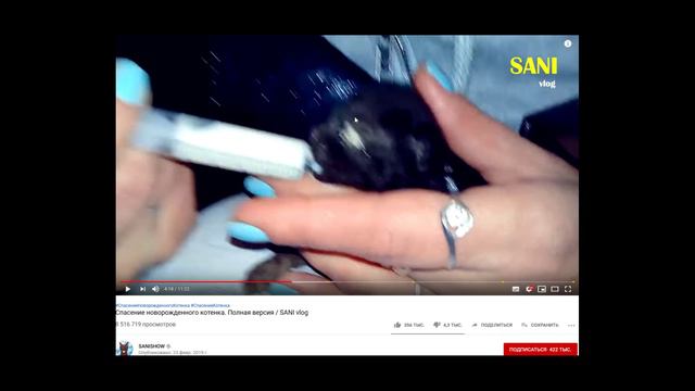Хайплю на спасении котят.