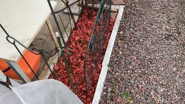 Мульчирую цветники, благоустраиваю сад. Розы в саду в марте 22г!