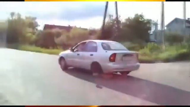 СУПЕР Приколы над животными и так же людьми
