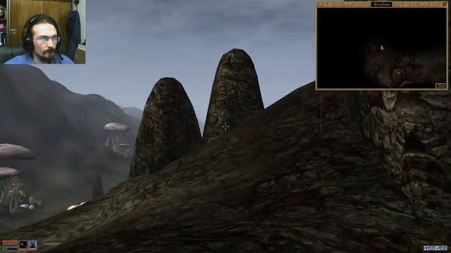 Пейзажи, гробницы, крепости, силрайдеры - это же Morrowind