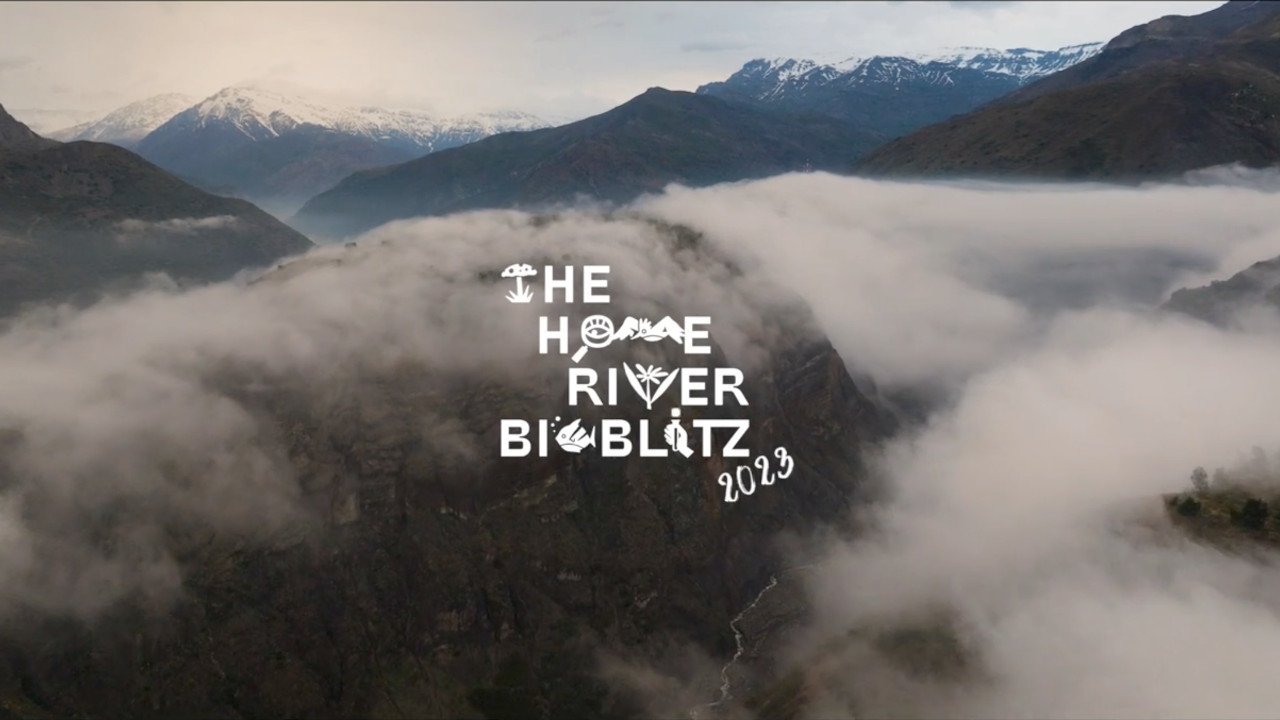 Home River Bioblitz 2023