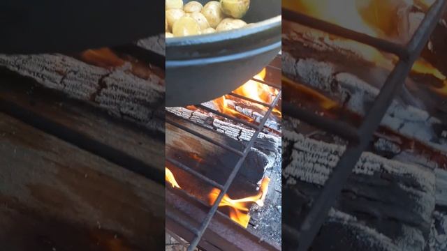 Кебаб из Кролика с Зеленью и Картофелем