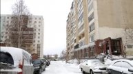 Охота на четвероногих: общественность Новосибирска активно осуждает случаи отравления собак