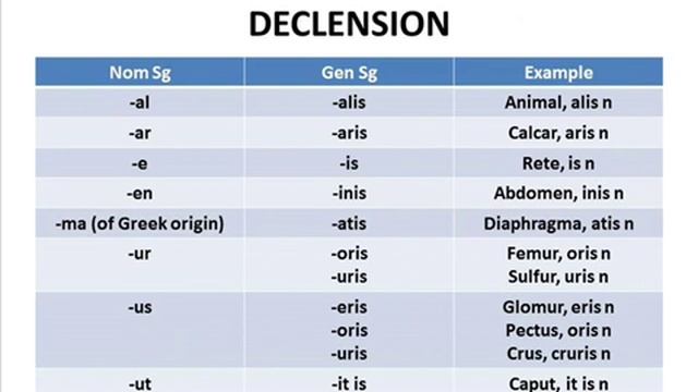 Anatomical terminology Topic 4.mp4