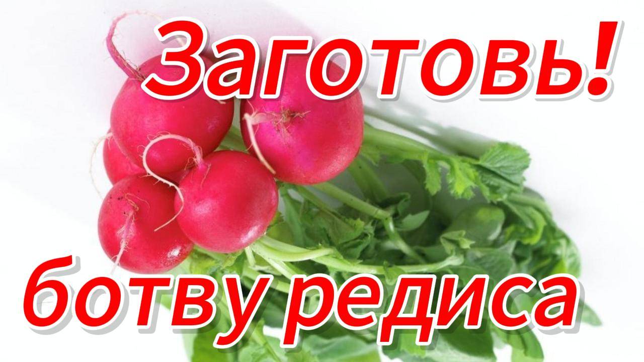 О пользе зелени редиса и других крестоцветных культур
