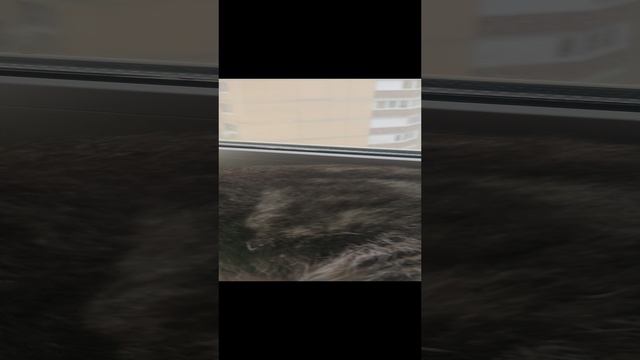 VID_20230428_153552.mp4