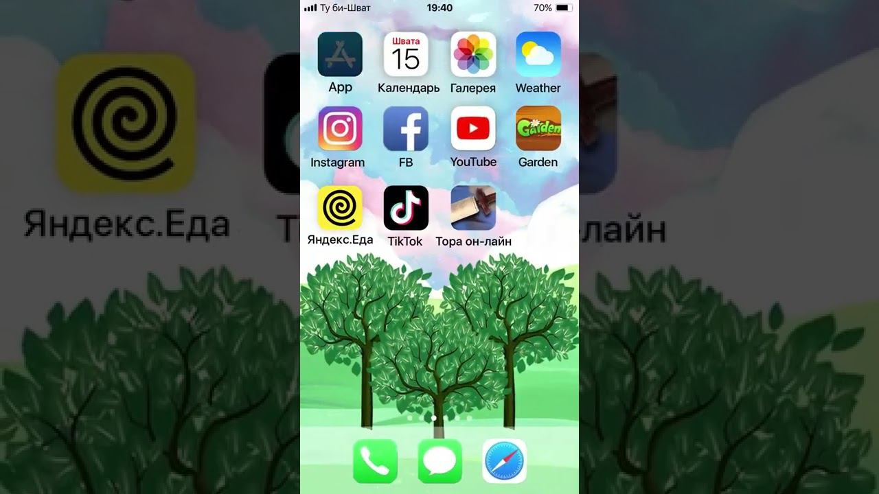 Ту биШват - новый год деревьев