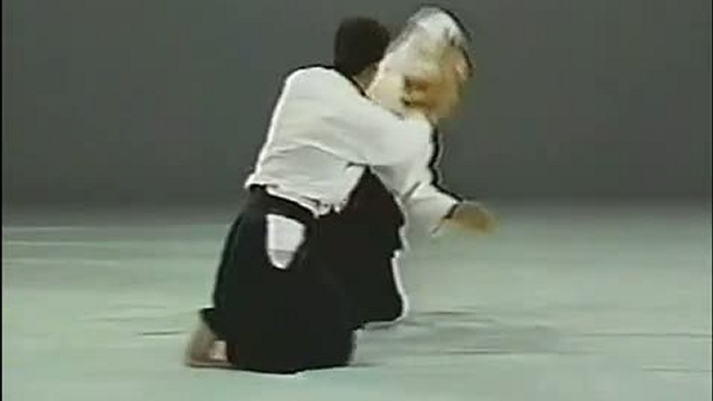 -AIKIDO- Michio HIKITSUCHI