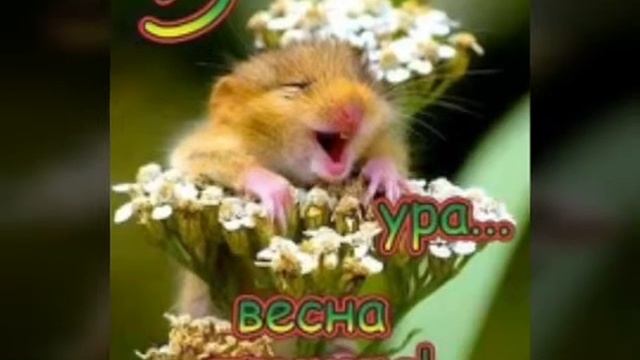 С первым днём весны вас!!!