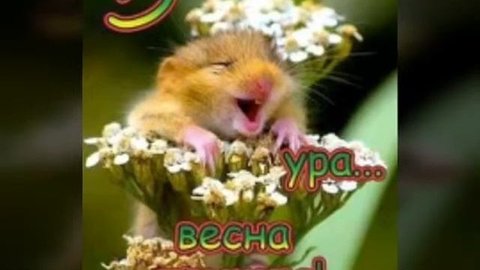 С первым днём весны вас!!!
