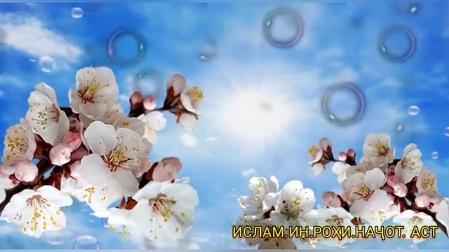СЛУШАТЬ КАЖДОЕ УТРО И КАЖДУЮ НОЧЬ АЯТ АЛЬ КУРСИ 100 раз❤️✅