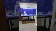 Glimpse of Buddha