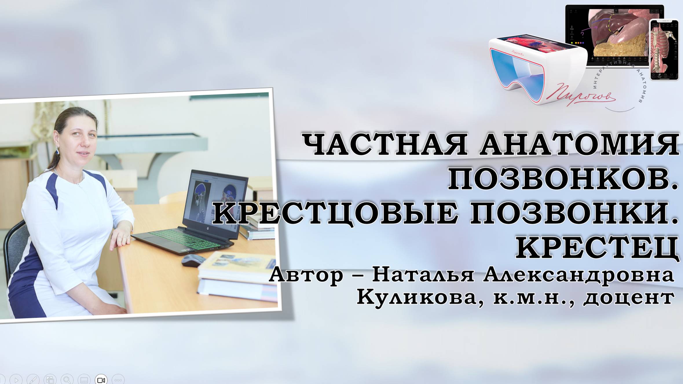 14. Частная анатомия позвонков. Крестцовые позвонки. Крестец