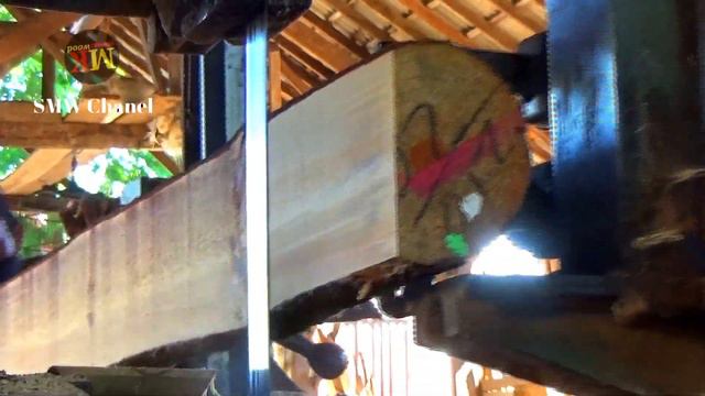 monster kayu pinus si raja furniture yang kuat dan terpercaya di sawmill. wood working activity