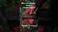 КРИМИНАЛЬНЫЕ НАХОДКИ НА ПОИСКОВЫЙ МАГНИТ