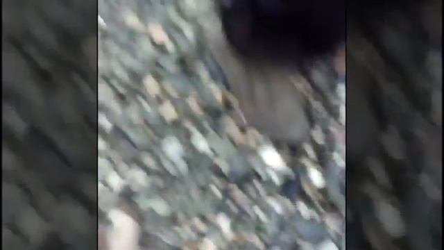 Рустем Адагамов   На Камчатке в этом году рекордные уловы