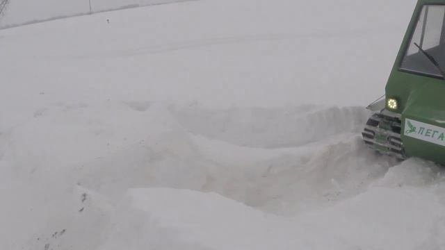 Пегас