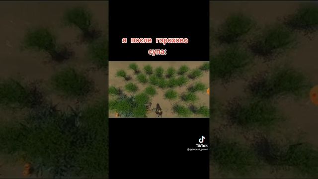 гороховый суп