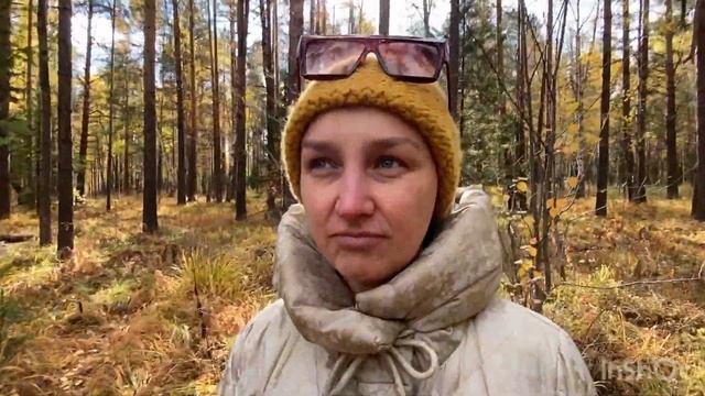 Брусника