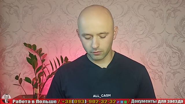 Какие вопросы задают на границе и в консульстве при получении визы в Польшу?